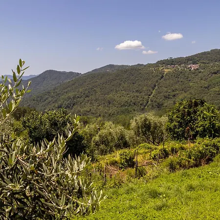 Emma's House * Sasseta