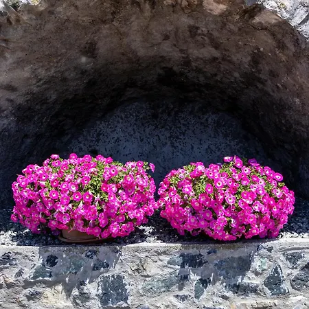 度假居 Emma's House *