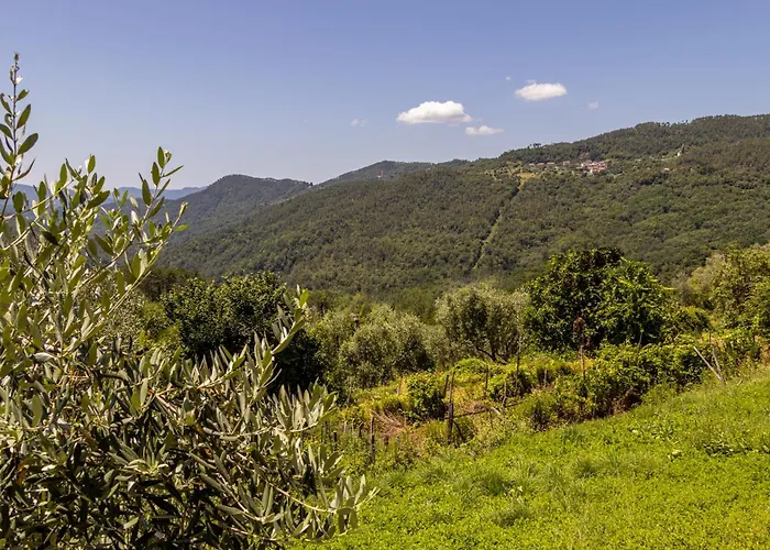 Emma's House * Sasseta